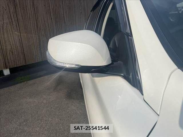 Nissan SKYLINE 2019-12 7879483-24