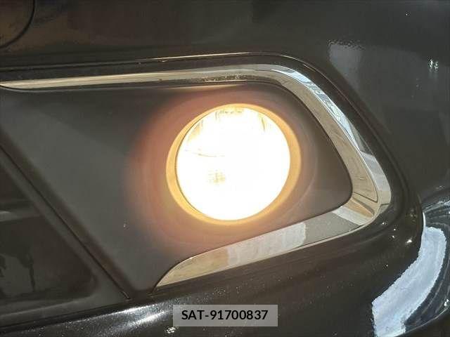 Suzuki SOLIO BANDIT 2017-01 7215540-10