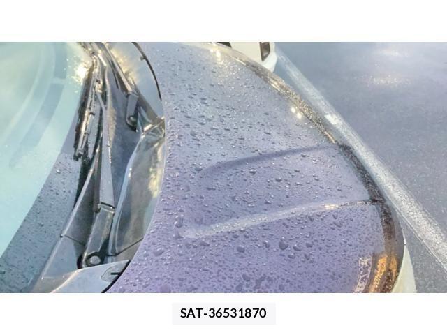 Suzuki SOLIO BANDIT 2012-09 8686591-10