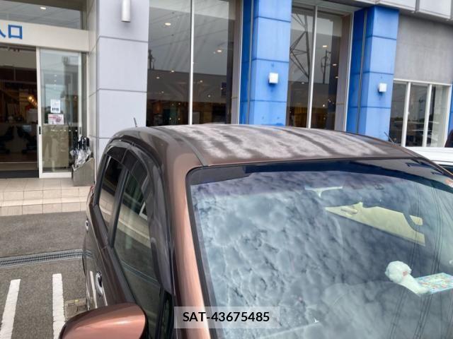 Toyota SPADE 2013-09 8038423-3