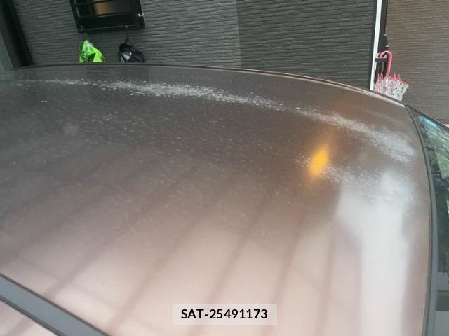 Toyota SPADE 2013-04 8782138-16