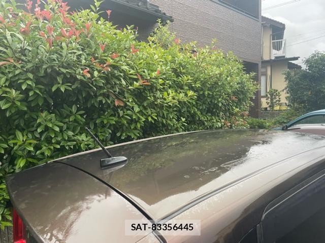 Subaru STELLA 2015-04 7729139-9