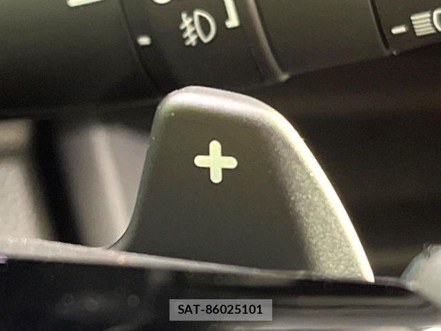 Honda STEP WGN 2026-06 7963879-7