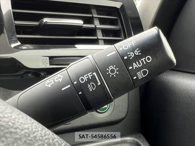 Honda STEP WGN 2018-10 7879667-28