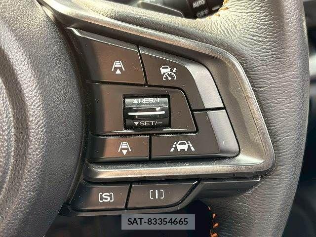 Subaru SUBARU 2017-10 6019920-4