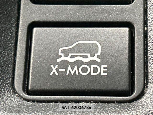 Subaru SUBARU 2017-06 6913667-7