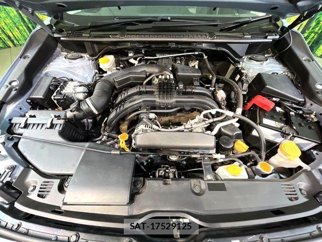 Subaru SUBARU 2017-08 7060911-17