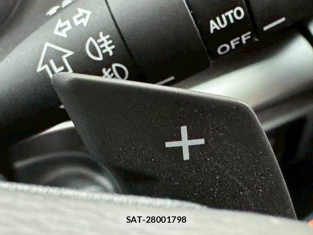 Subaru SUBARU 2017-06 7216487-14