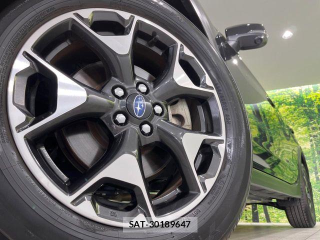 Subaru SUBARU 2019-06 7359995-13