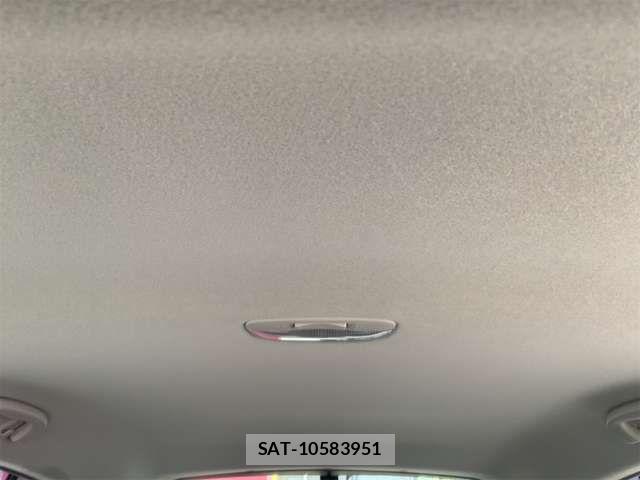 Subaru SUBARU 2016-11 7394335-12