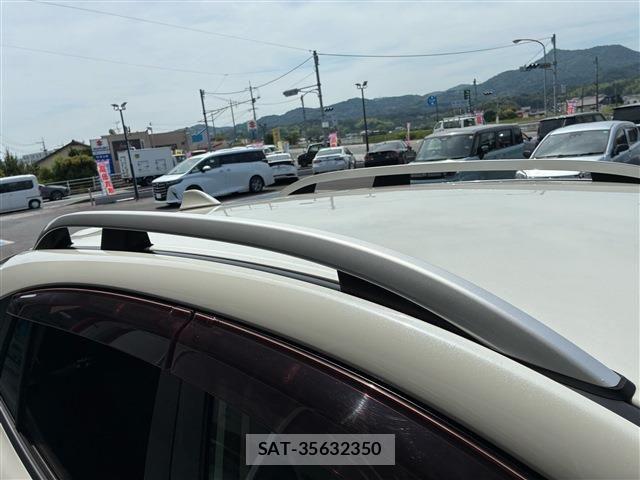 Subaru SUBARU 2019-01 7394329-20