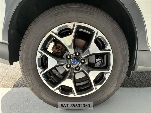 Subaru SUBARU 2019-01 7394329-21