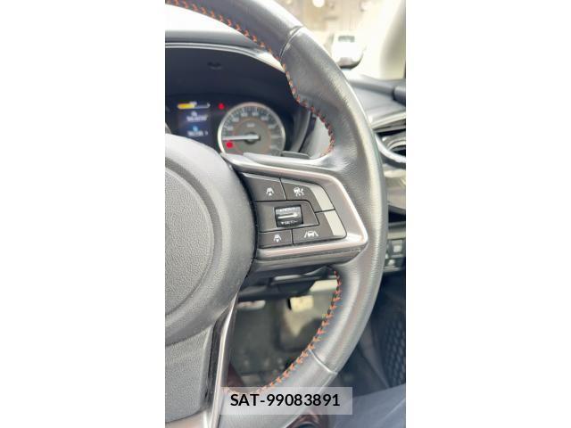 Subaru SUBARU 2019-06 7879731-22
