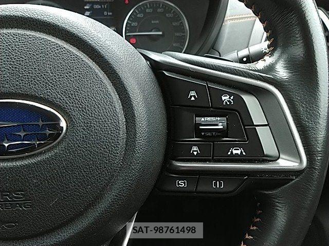 Subaru SUBARU 2019-02 7903465-25