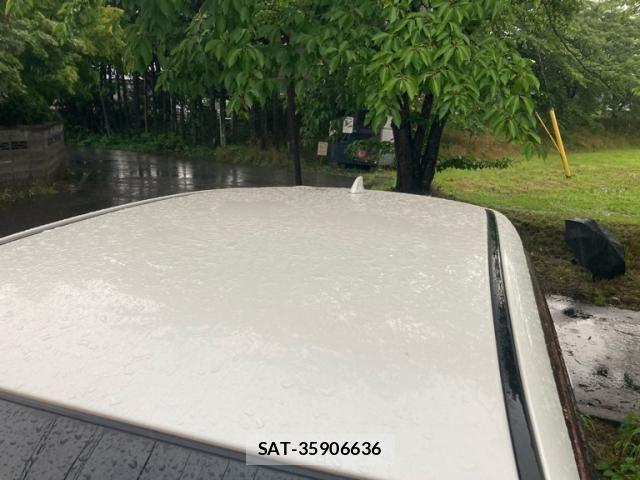Subaru SUBARU 2013-02 8231969-7