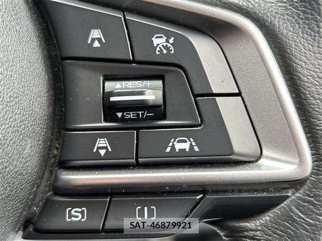 Subaru SUBARU 2017-11 8882404-19