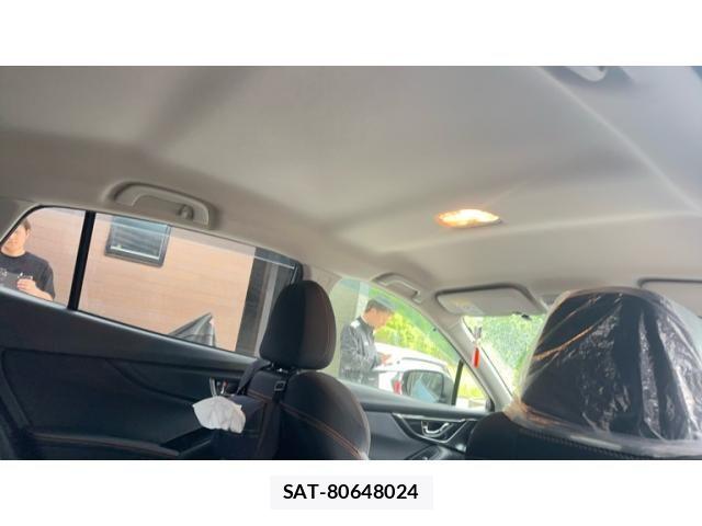 Subaru XV HYBRID 2019-07 7250297-12