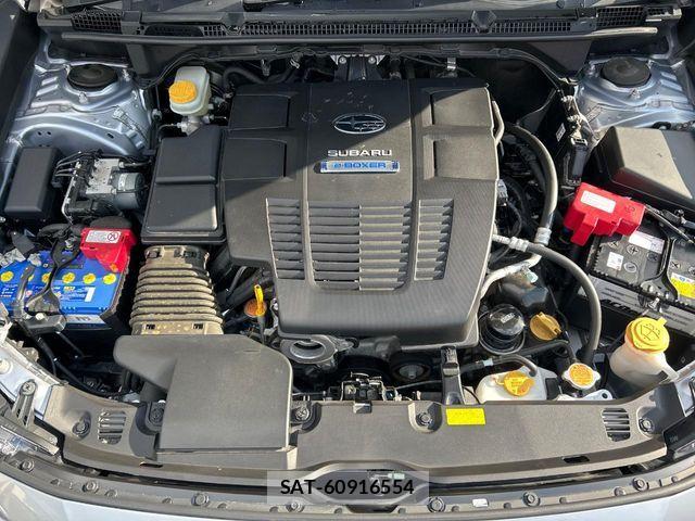 Subaru XV HYBRID 2020-01 7981169-17