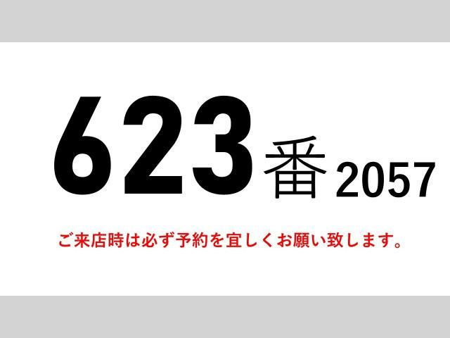 Mitsubishi GREAT 2017-03 7199785-1