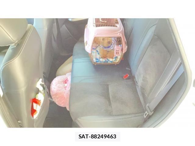 Suzuki ESCUDO 2016-11 8415226-22