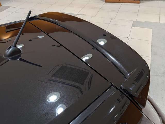 Suzuki SWIFT 2013-07 3685059-19