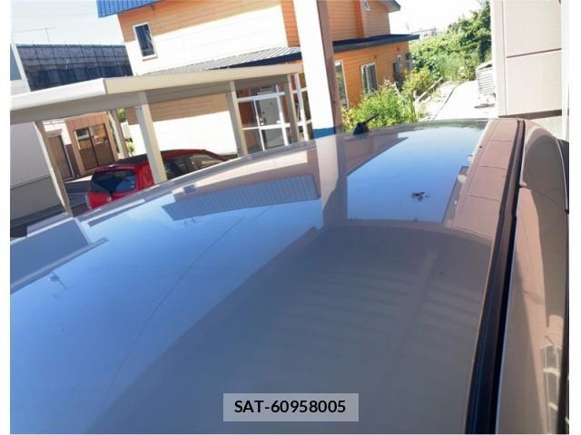 Suzuki SWIFT 2009-09 8338104-11