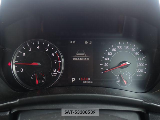 Suzuki SWIFT 2024-06 8746171-19