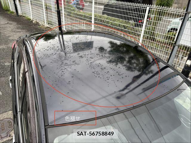 Nissan Sylphy 2013-07 7981225-13