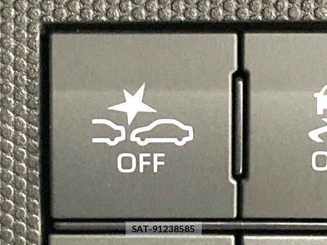 Daihatsu TAFT 2021-05 8527669-4