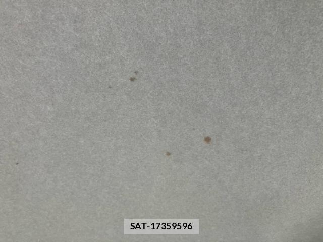 Daihatsu TANTO 2015-02 8415351-18