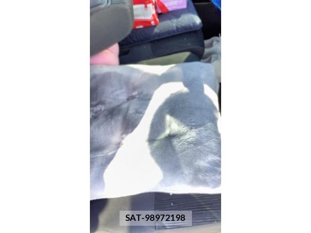 Daihatsu TANTO CUSTOM 2010-09 8075916-8