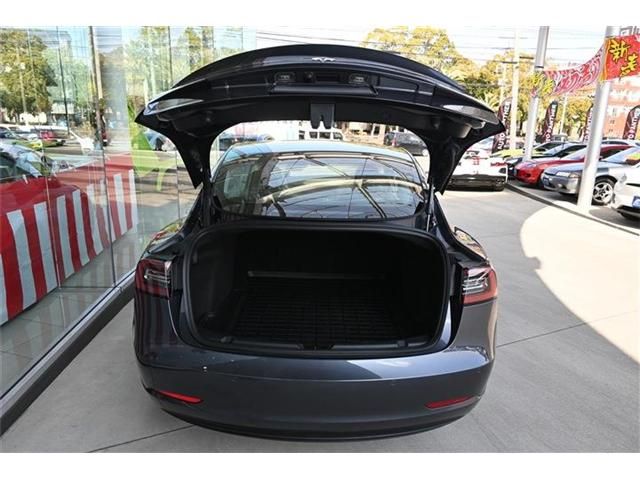 Tesla MODEL 3 2022-11 3686011-16