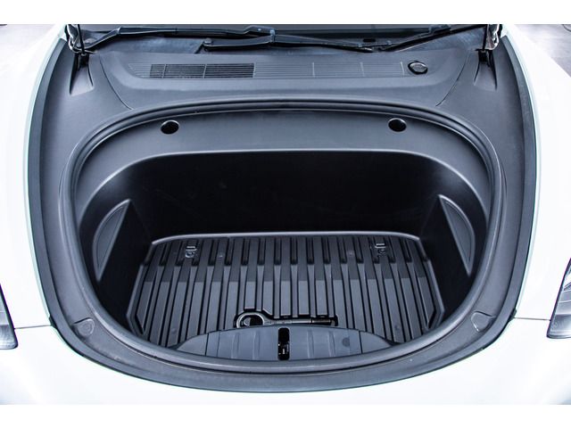 Tesla MODEL 3 2021-06 3686022-3