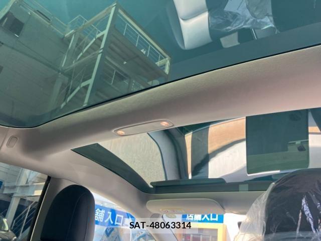 Tesla MODEL 3 2021-08 6135815-11