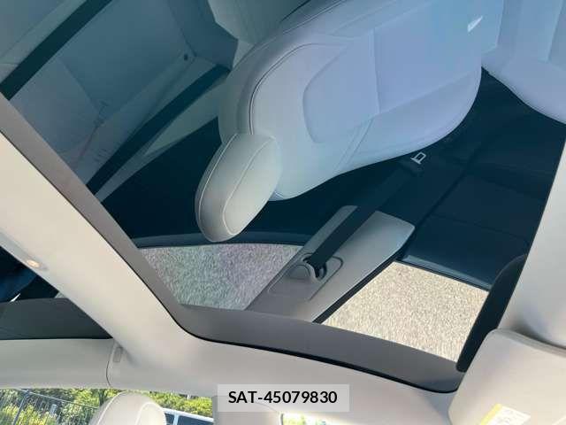 Tesla MODEL 3 2021-08 7216456-2