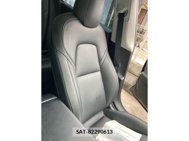 Tesla MODEL 3 2022-03 7226128-14
