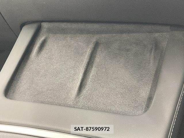 Tesla MODEL 3 2021-03 7360161-8
