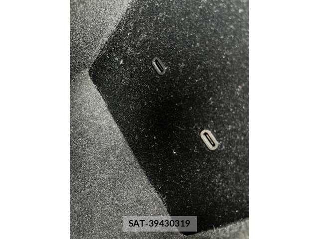 Tesla MODEL 3 2021-08 7360165-12