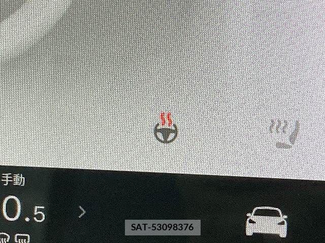 Tesla MODEL 3 2021-08 7503241-10