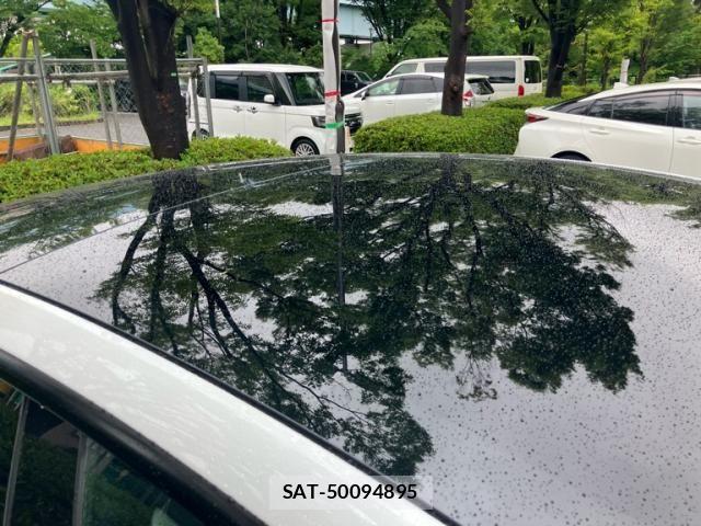 Tesla MODEL 3 2025-03 7562987-9