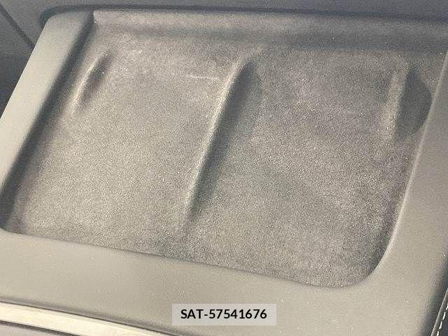 Tesla MODEL 3 2021-11 7729837-10