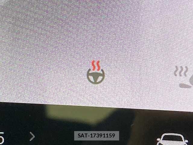 Tesla MODEL 3 2021-05 7789868-9