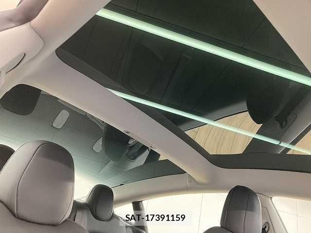 Tesla MODEL 3 2021-05 7789868-5