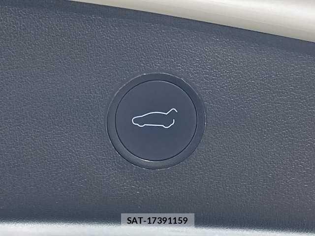 Tesla MODEL 3 2021-05 7789868-6
