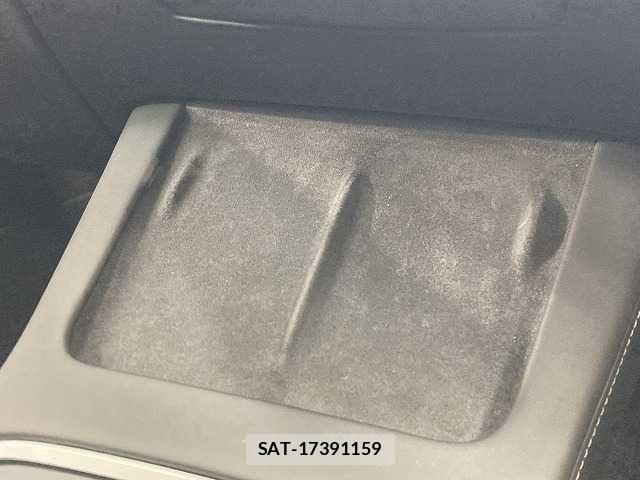 Tesla MODEL 3 2021-05 7789868-8