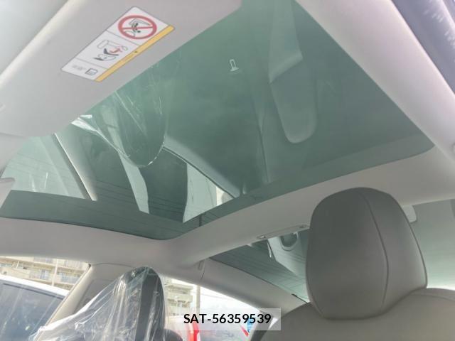 Tesla MODEL 3 2021-12 7880054-29