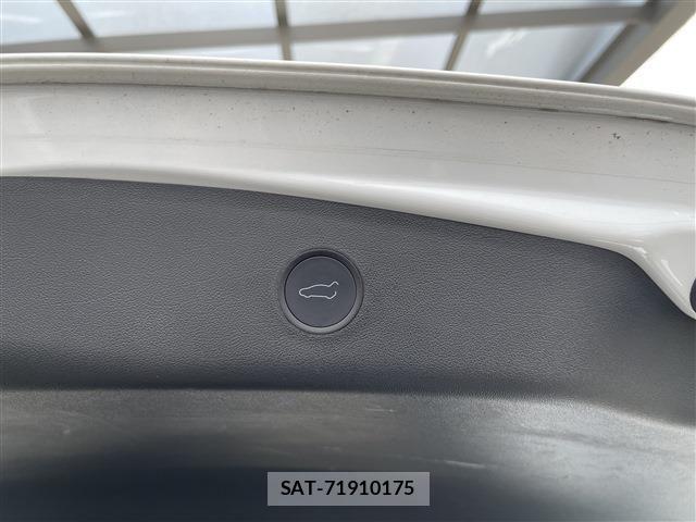 Tesla MODEL 3 2021-03 7880048-18