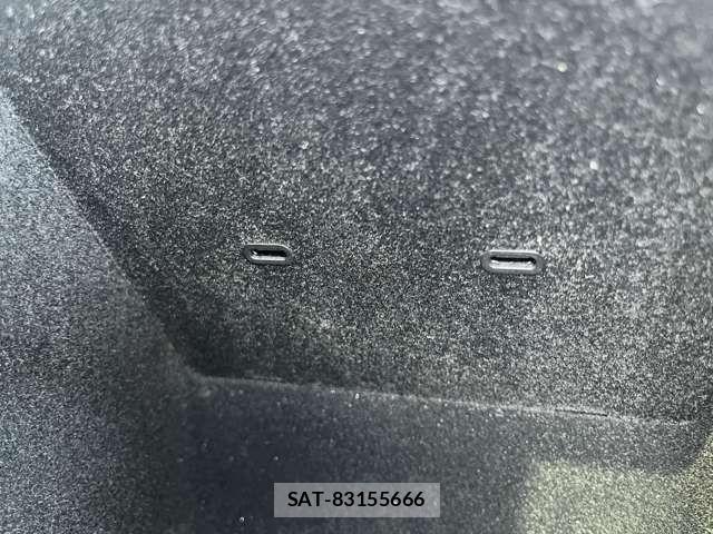 Tesla MODEL 3 2021-10 8132695-8