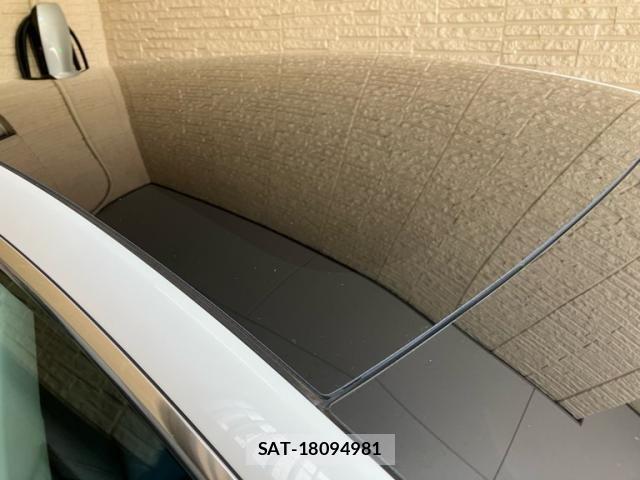 Tesla MODEL 3 2020-09 8317644-6