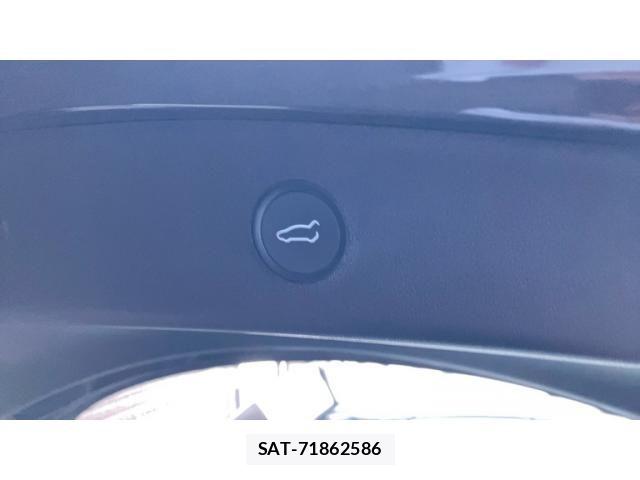 Tesla MODEL 3 2022-09 8667031-16